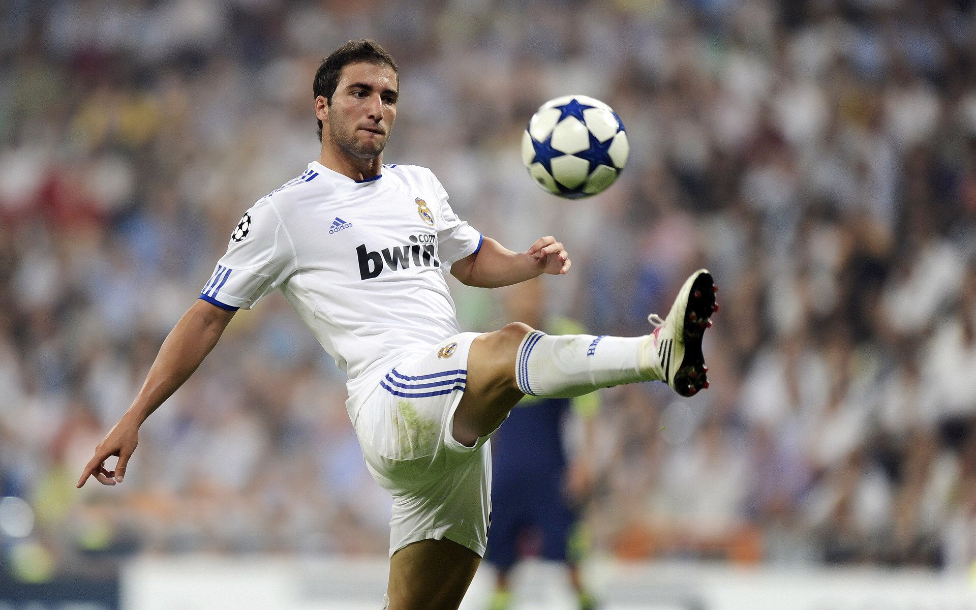 九游赛事-阿根廷马术科研团队研发出新型马术训练设备，助力骑手提升技能。